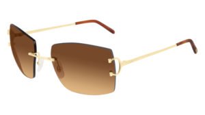 Cartier Sunglasses ct-0009rs-001