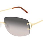 cartier sunglasses ct-008rs-001