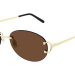 cartier sunglasses-ct-0029rs-002