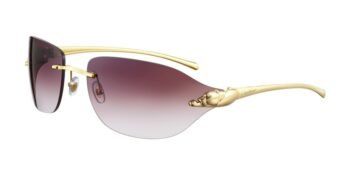 CT0068S-001