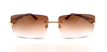 Cartier CT0048O-006 Brown