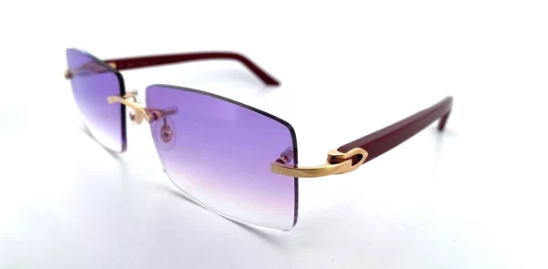 Cartier CT0048O-006_PURPLE