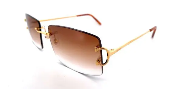 Cartier CT0092o-001_Brown_1