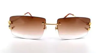 Cartier CT0092O-001 Brown