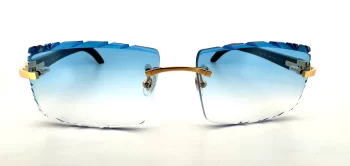 Cartier CT0049O-001((Horn) DC Sky Blue