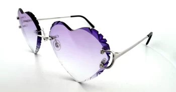 CT0092o-002 DC Purple Heart_1