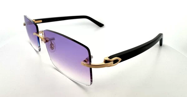 Cartier CT0048O-002 Purple