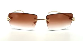 Cartier CT0494O-001 Smoke Brown