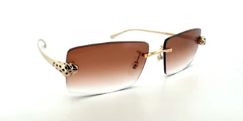 Cartier CT0494O-001 Smoke Brown