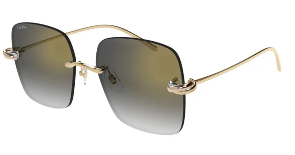 Cartier CT0580S-001