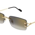 Cartier CT0550s-001