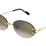 Cartier CT0551s-001